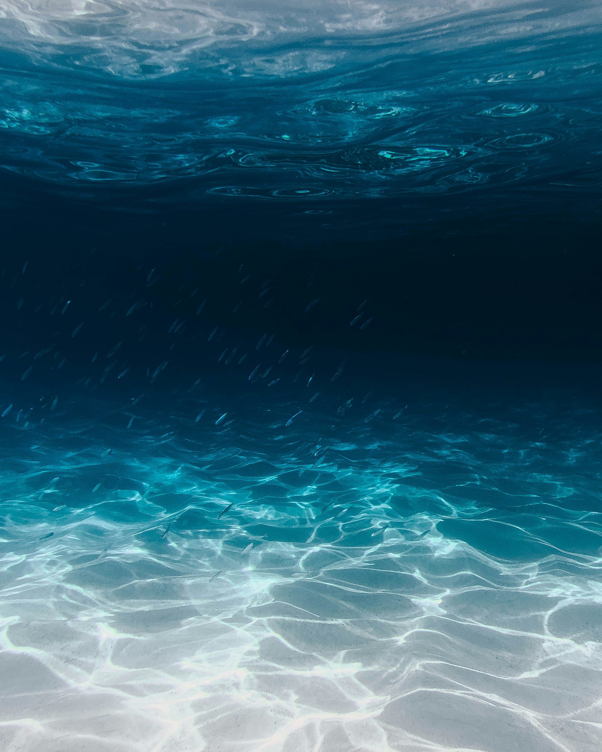Sunlight falling through the ocean surface into deep water