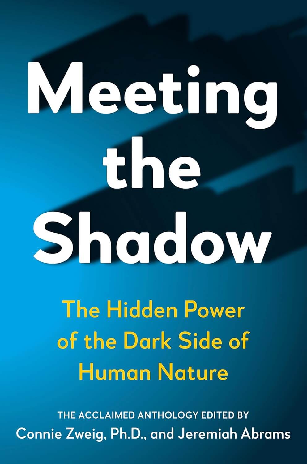 Meeting the Shadow edited by Connie Zweig and Jeremiah Abrams
